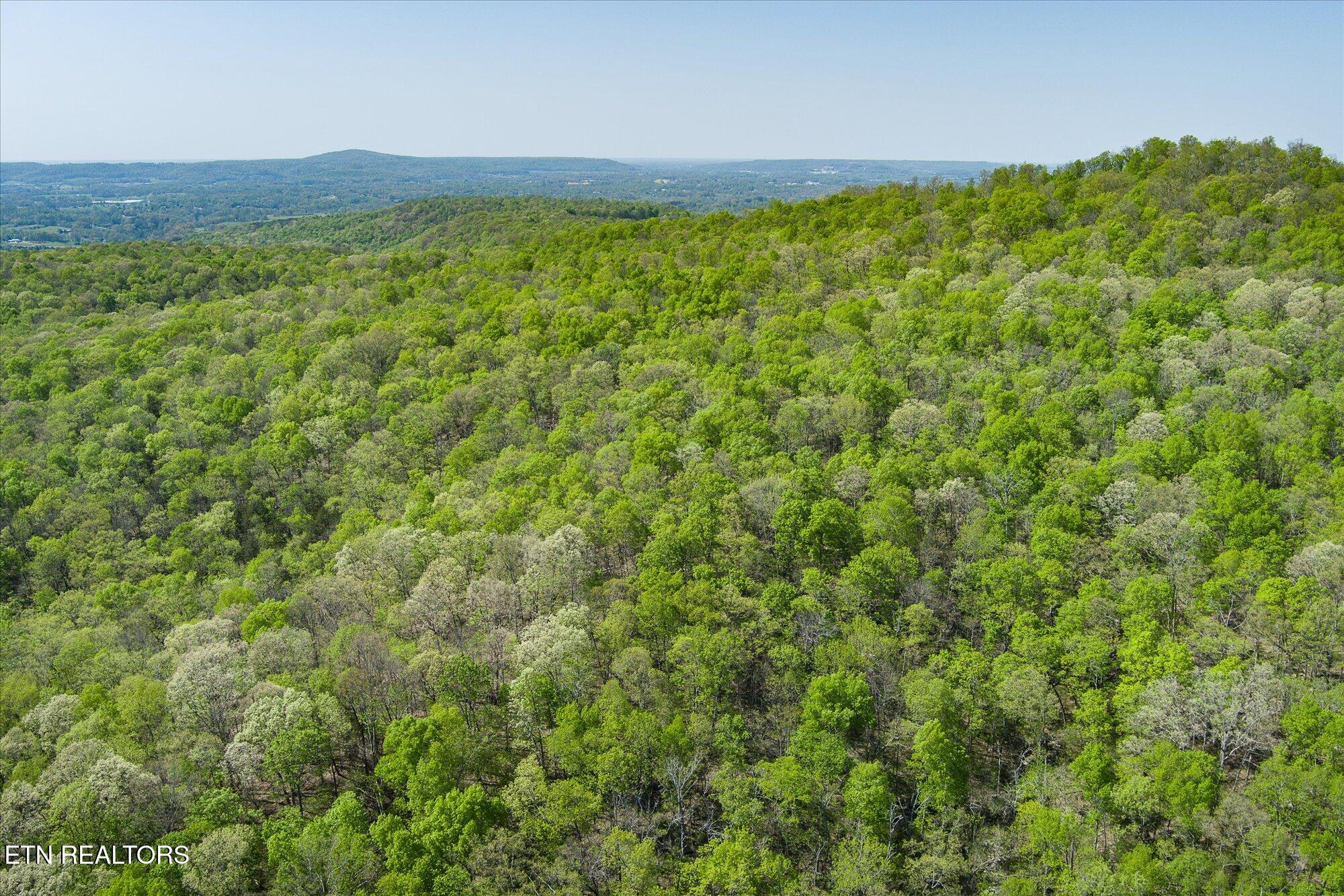 12.2 Ac Road Sparta, TN 38583 - Photo 9 of 10 09-Firetower Rd Sparta