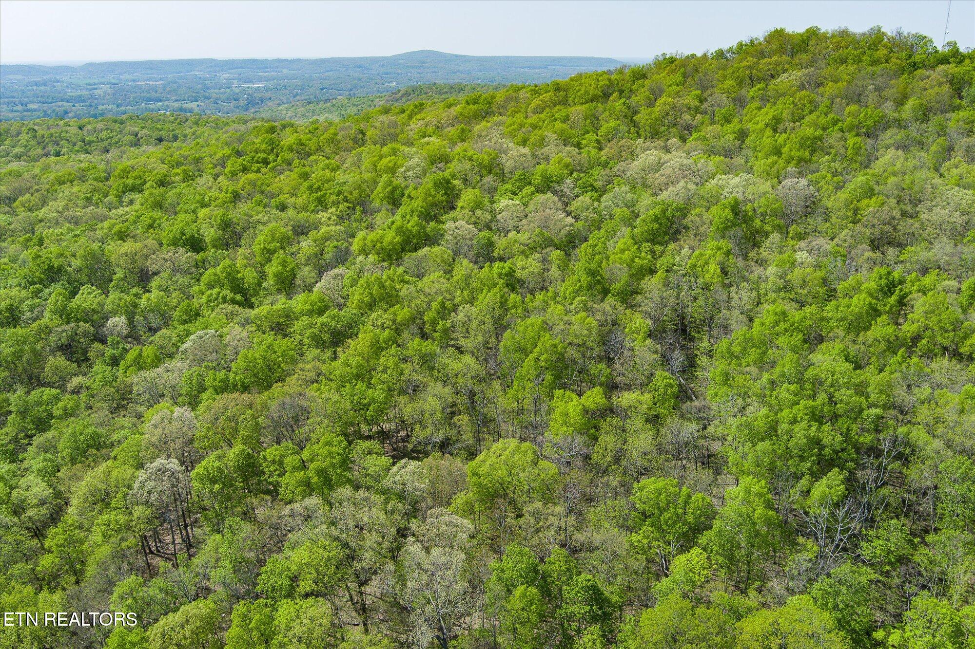 12.2 Ac Road Sparta, TN 38583 - Photo 10 of 10 10-Firetower Rd Sparta