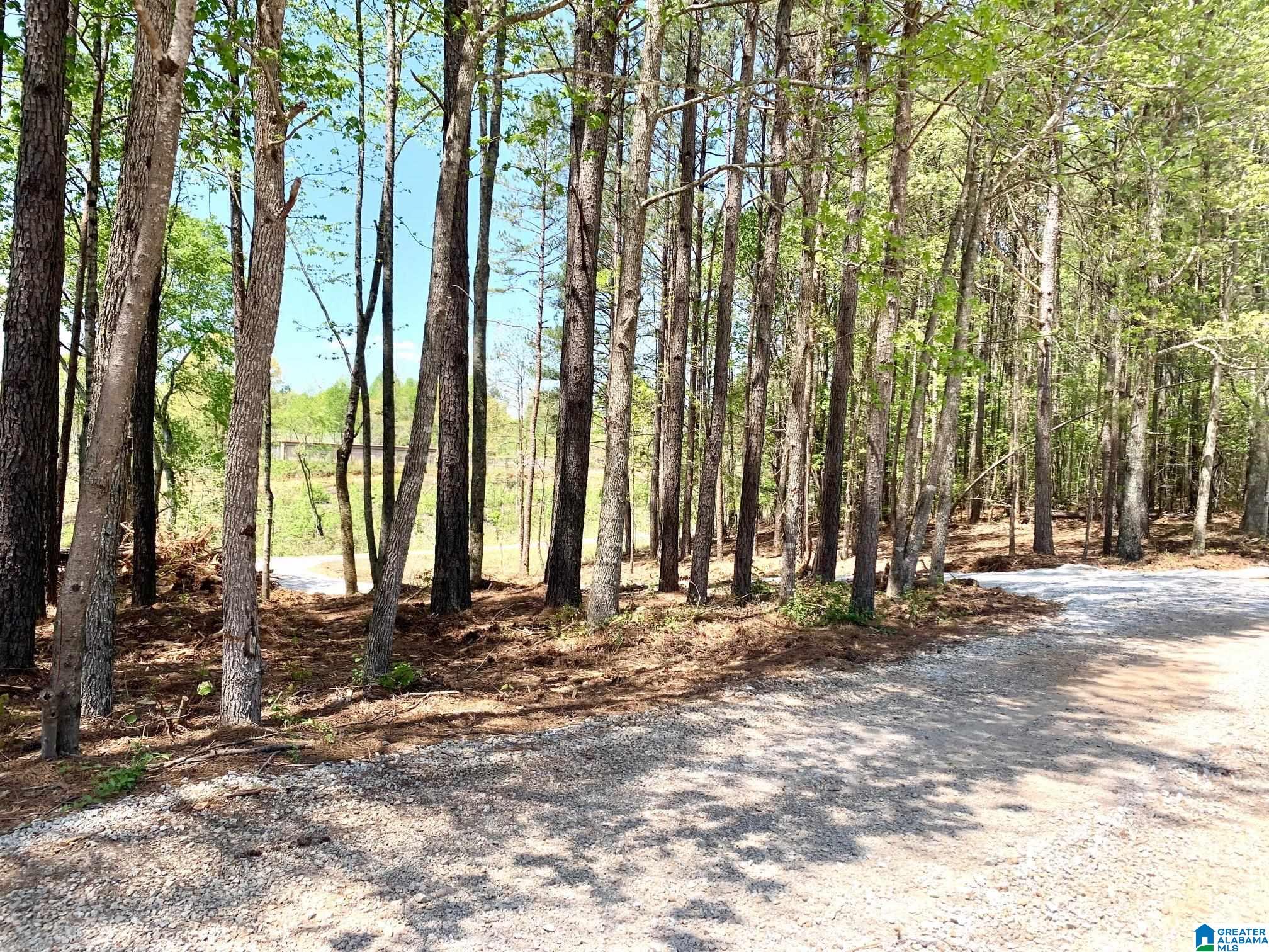 57 County Road 27 Heflin, AL 36264 - Photo 17 of 46