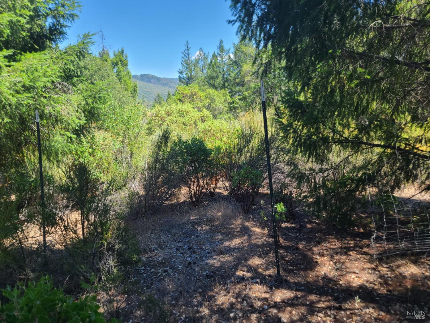 0 Etsel Ridge Road Covelo, CA 95428 - Photo 7 of 18