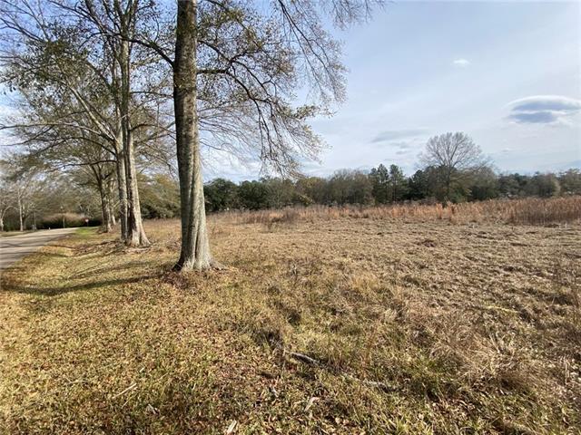 12382 Quaglino Road Folsom, LA 70437 - Photo 4 of 6