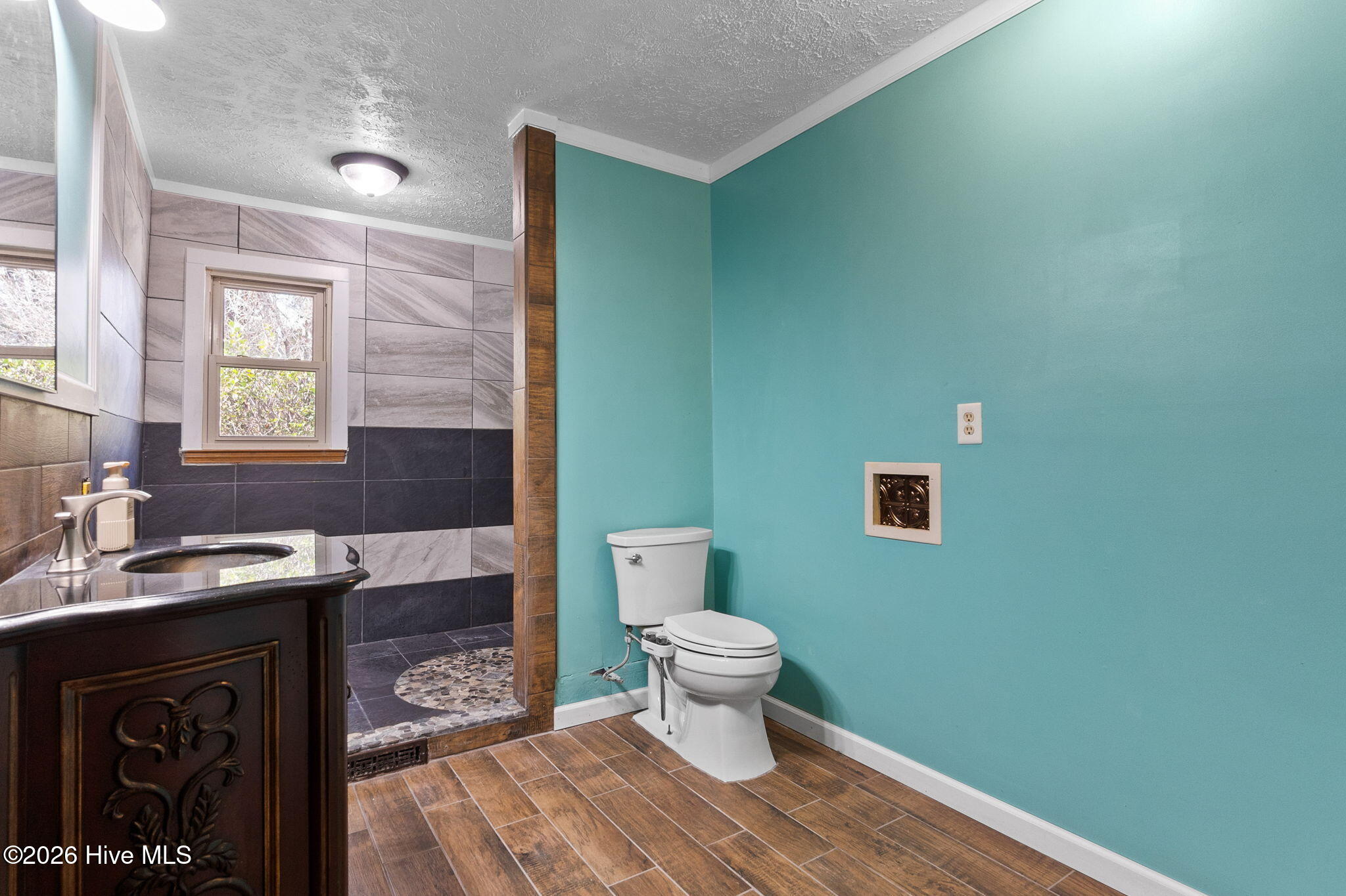 863 Fred Powell Road Whiteville, NC 28472 - Photo 26 of 58 Bidet in Guest Bathroom