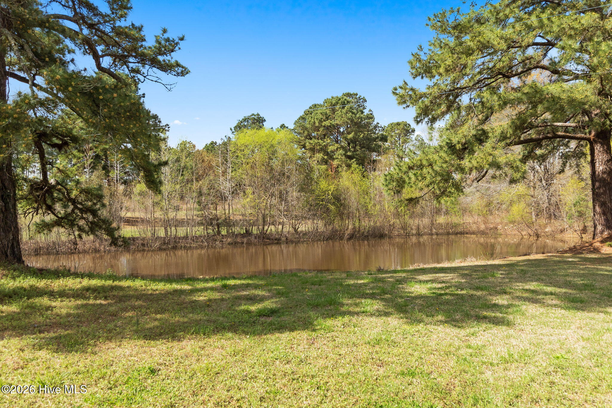 863 Fred Powell Road Whiteville, NC 28472 - Photo 47 of 58 Pond View