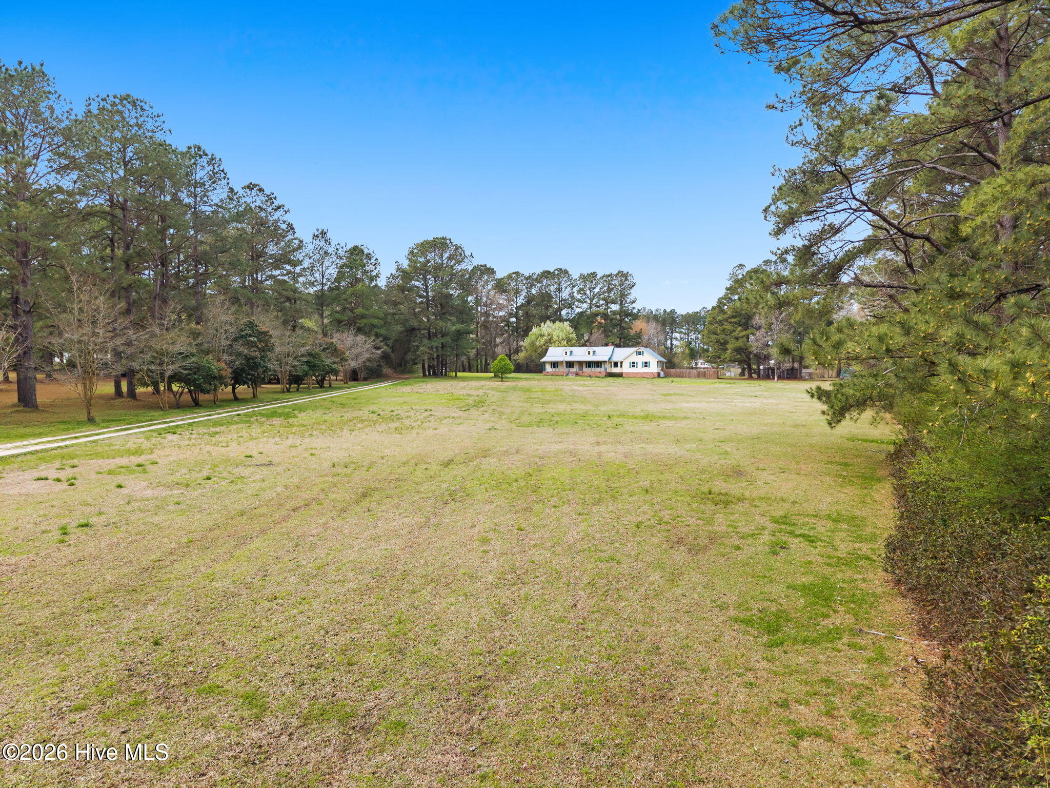863 Fred Powell Road Whiteville, NC 28472 - Photo 54 of 58 Crepe Myrlte Lined Driveway