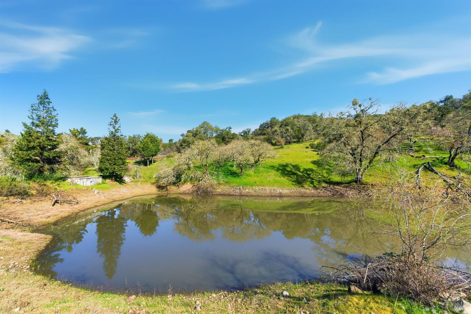 1477 Leslie Road Healdsburg, CA 95448 - Photo 31 of 40 South side of pond looking north to previous home site.