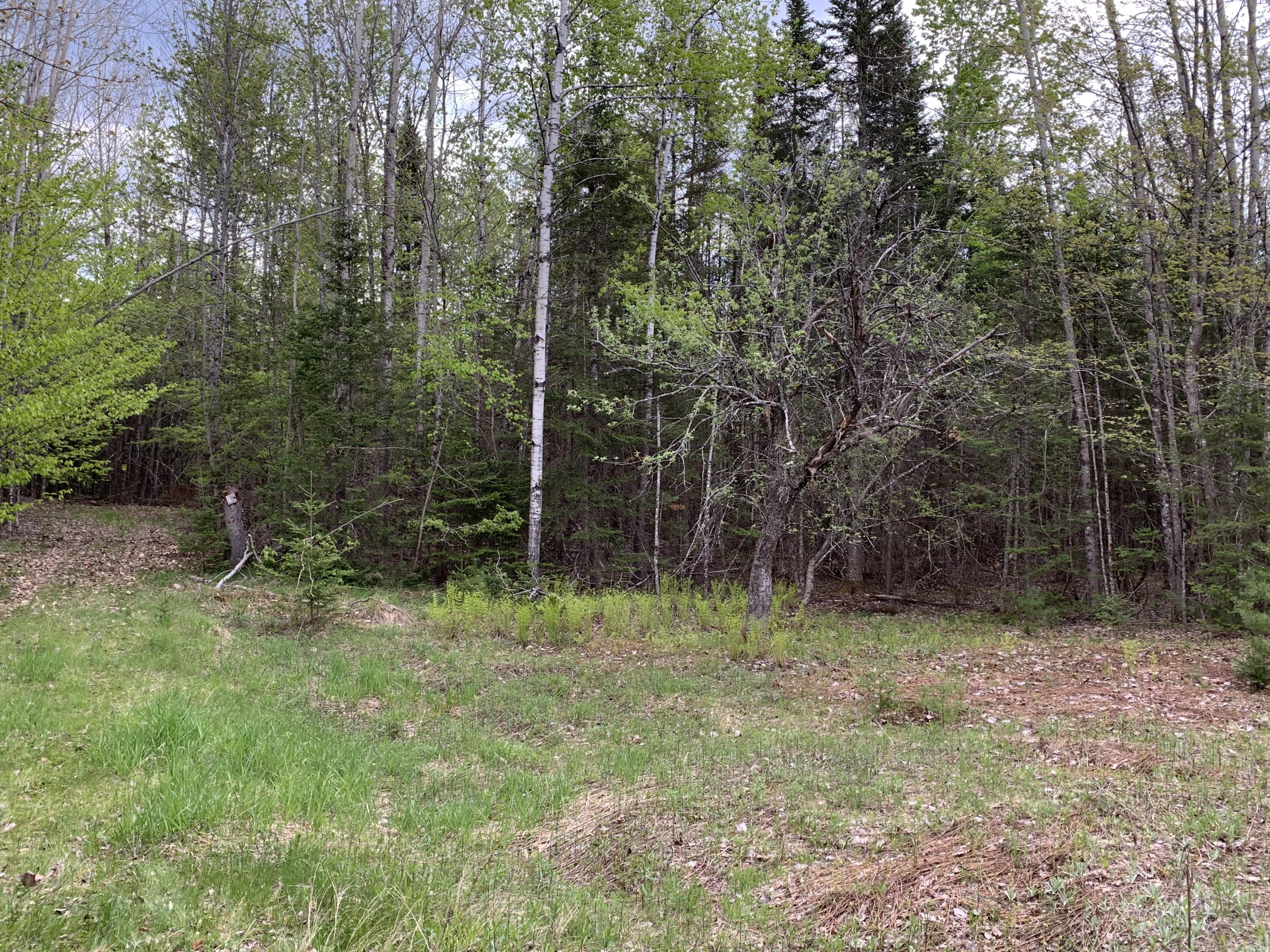 0 Dean Road Corinna, ME 04928 - Photo 2 of 7 Corinna 3