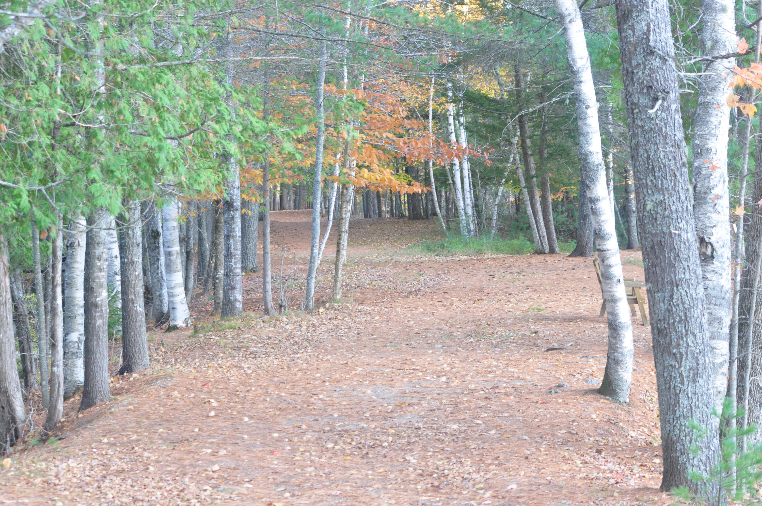 170 Milford Road Princeton, ME 04668 - Photo 12 of 45 8