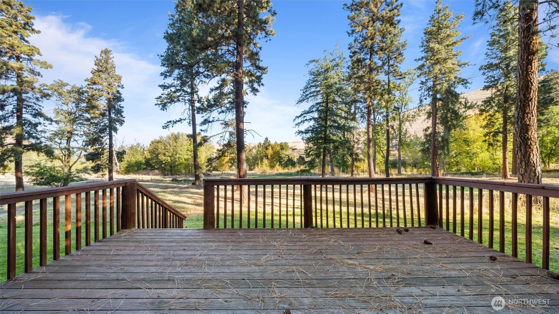 106 Wolf Ridge Lane Dayton, WA 99328 - Photo 4 of 39 a view of deck with a trees