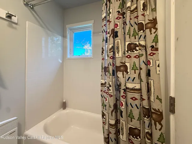 $485,000 | 89 Pine Lane, Hunter, NY 12442