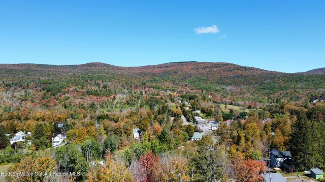 $485,000 | 89 Pine Lane, Hunter, NY 12442