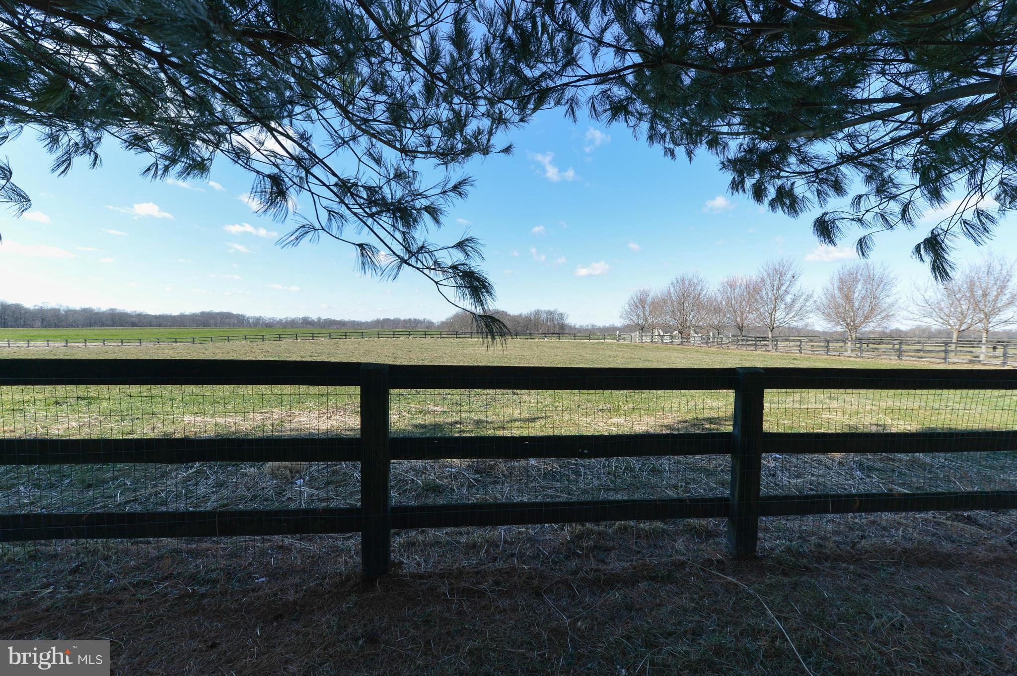 360 Christopher Road Warwick, MD 21912 - Photo 13 of 27 View of the Pasture