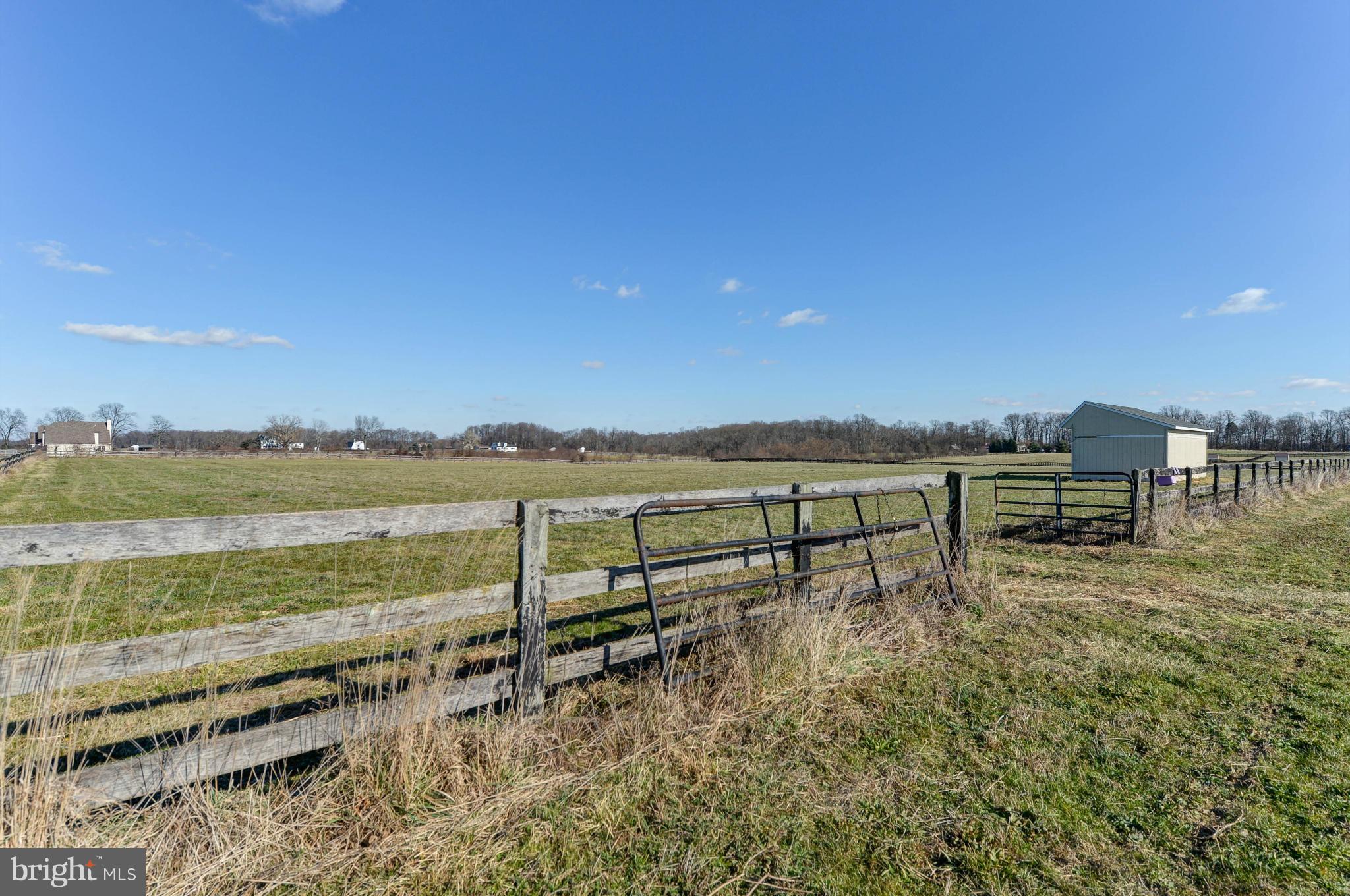 Pasture and run-in sheds