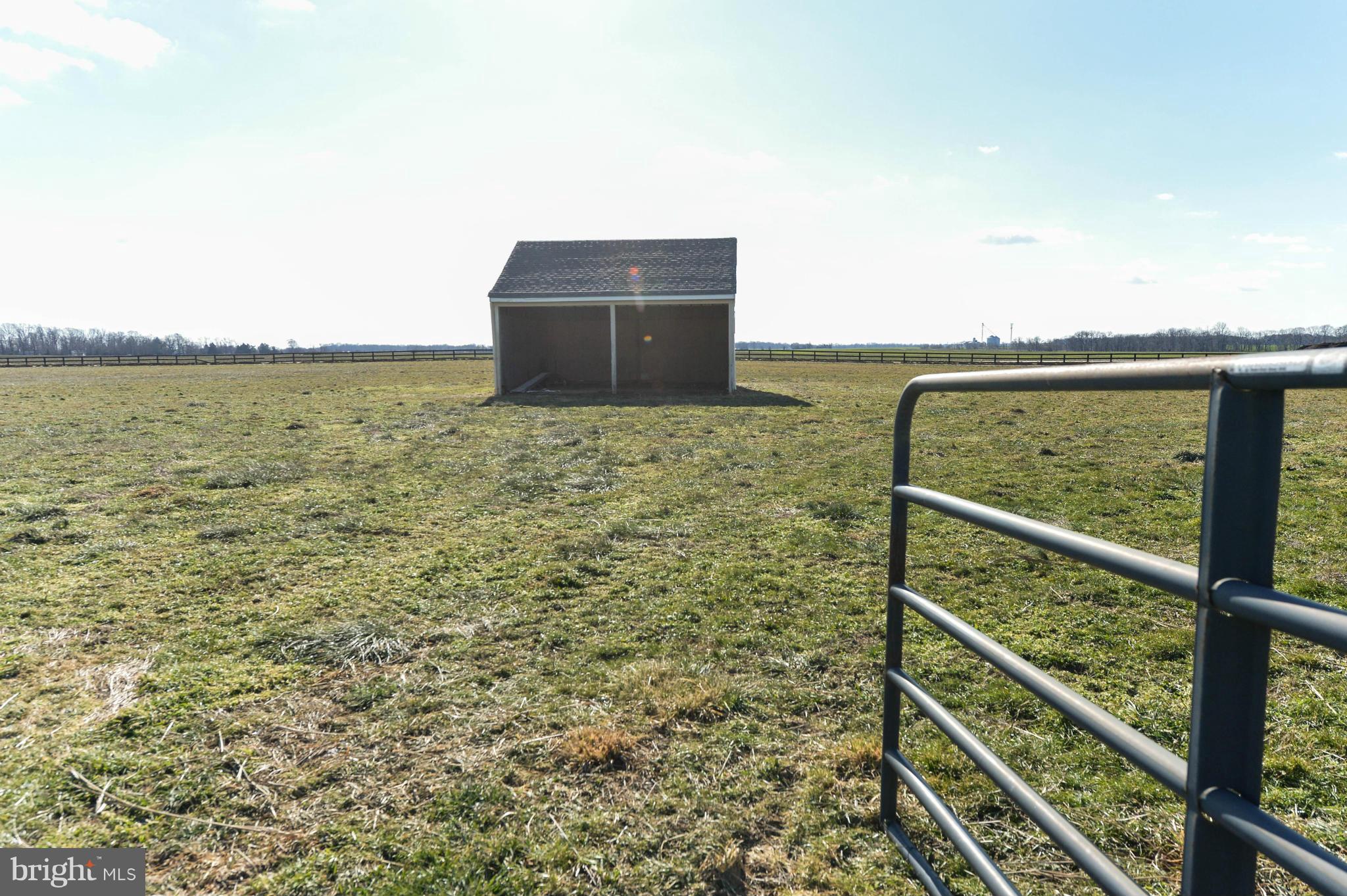 360 Christopher Road Warwick, MD 21912 - Photo 8 of 27 Run-in shed