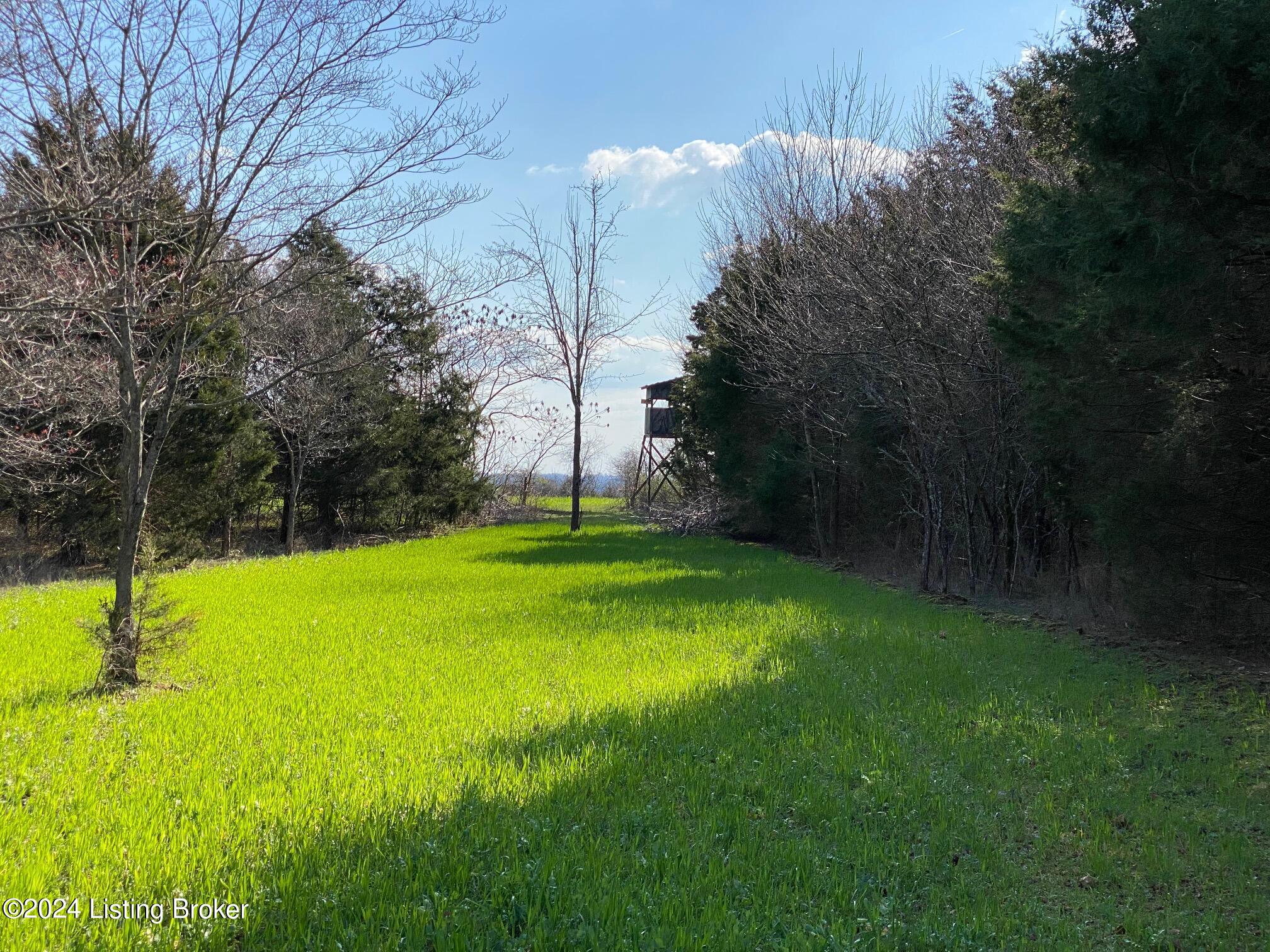 4372 Rube Smith Road Canmer, KY 42722 - Photo 56 of 82 IMG_1100