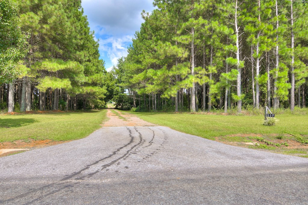 337 Beech Crk Road Johnston, SC 29832 - Photo 23 of 24