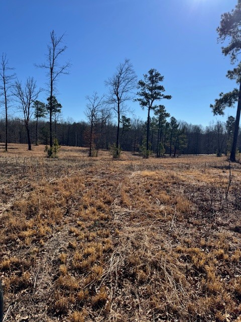 0 Box House Road Belvidere, TN 37306 - Photo 12 of 18 Gallery Image 12
