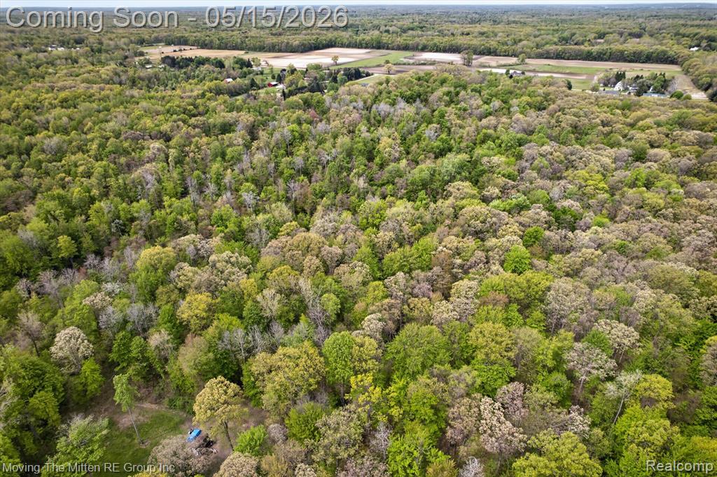 22530 Bohn Road Belleville, MI 48111 - Photo 26 of 28