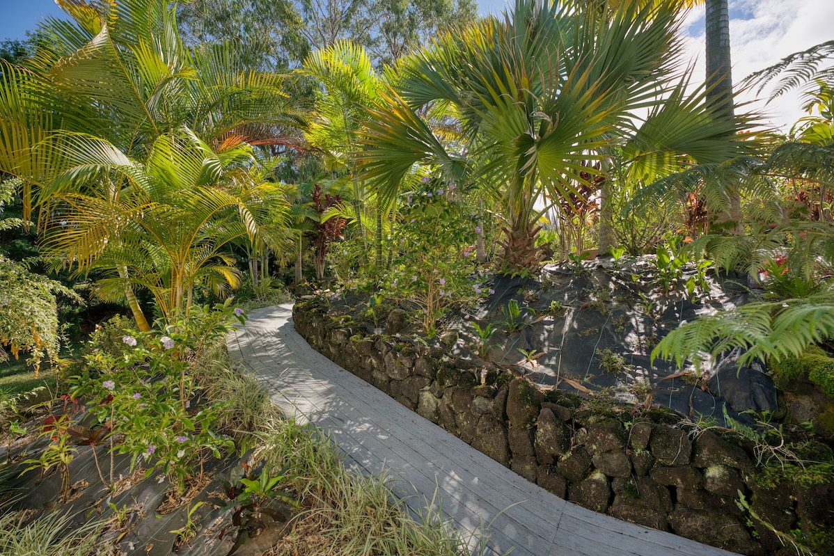 35-1655 Maulua Nui Road Papaaloa, HI 96780 - Photo 17 of 30 a view of a garden