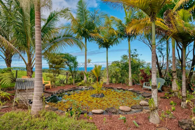 a view of outdoor space with trees