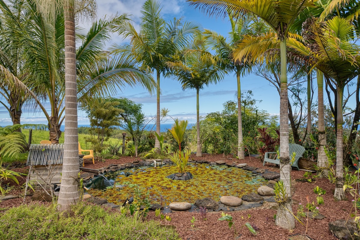 35-1655 Maulua Nui Road Papaaloa, HI 96780 - Photo 18 of 30 a view of outdoor space with trees