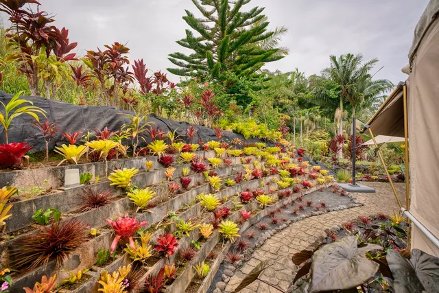 a view of a swimming pool with a lake
