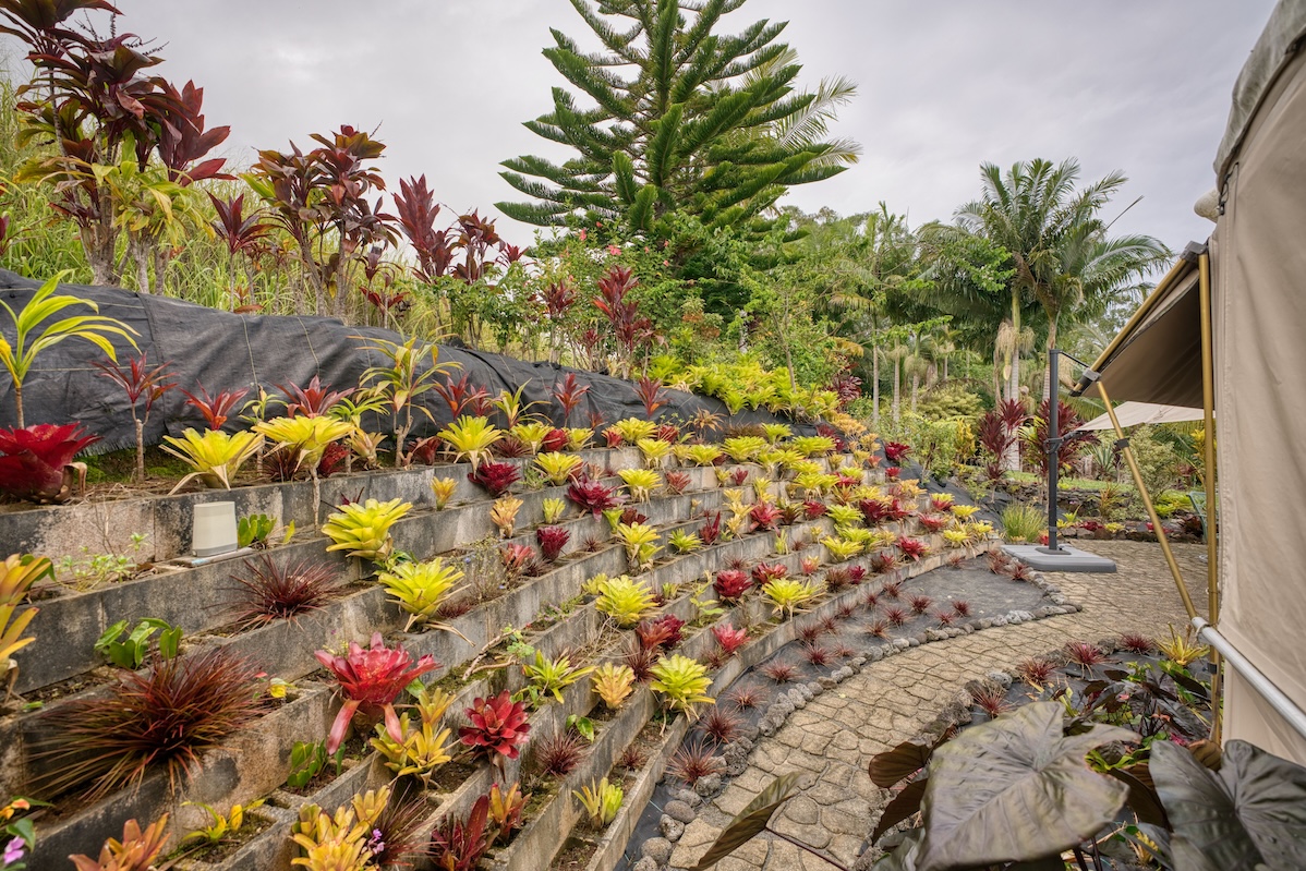 35-1655 Maulua Nui Road Papaaloa, HI 96780 - Photo 26 of 30