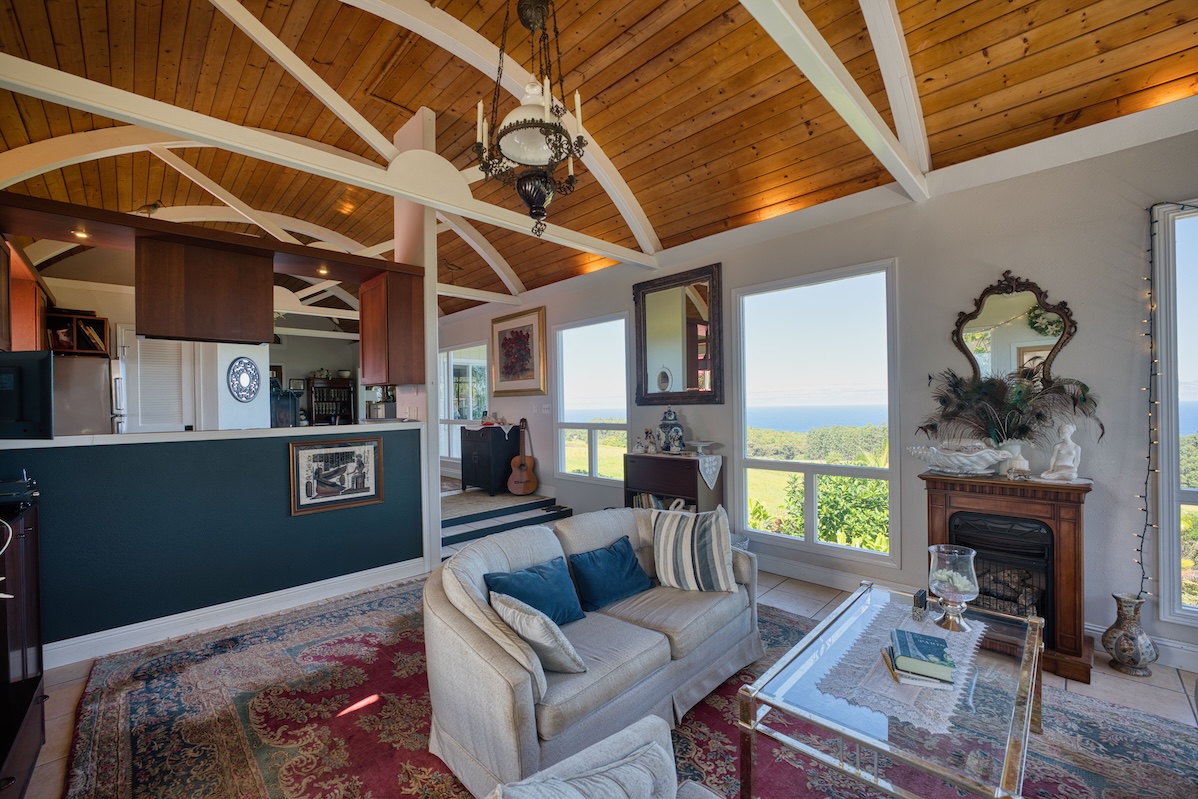 35-1655 Maulua Nui Road Papaaloa, HI 96780 - Photo 10 of 30 a living room with furniture a fireplace and a table