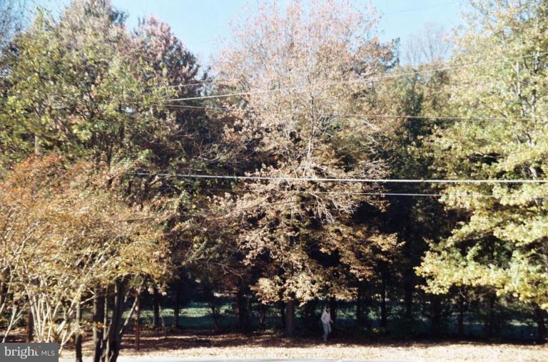 7426 Flora Street Springfield, VA 22150 - Photo 15 of 16 a view of outdoor space and yard