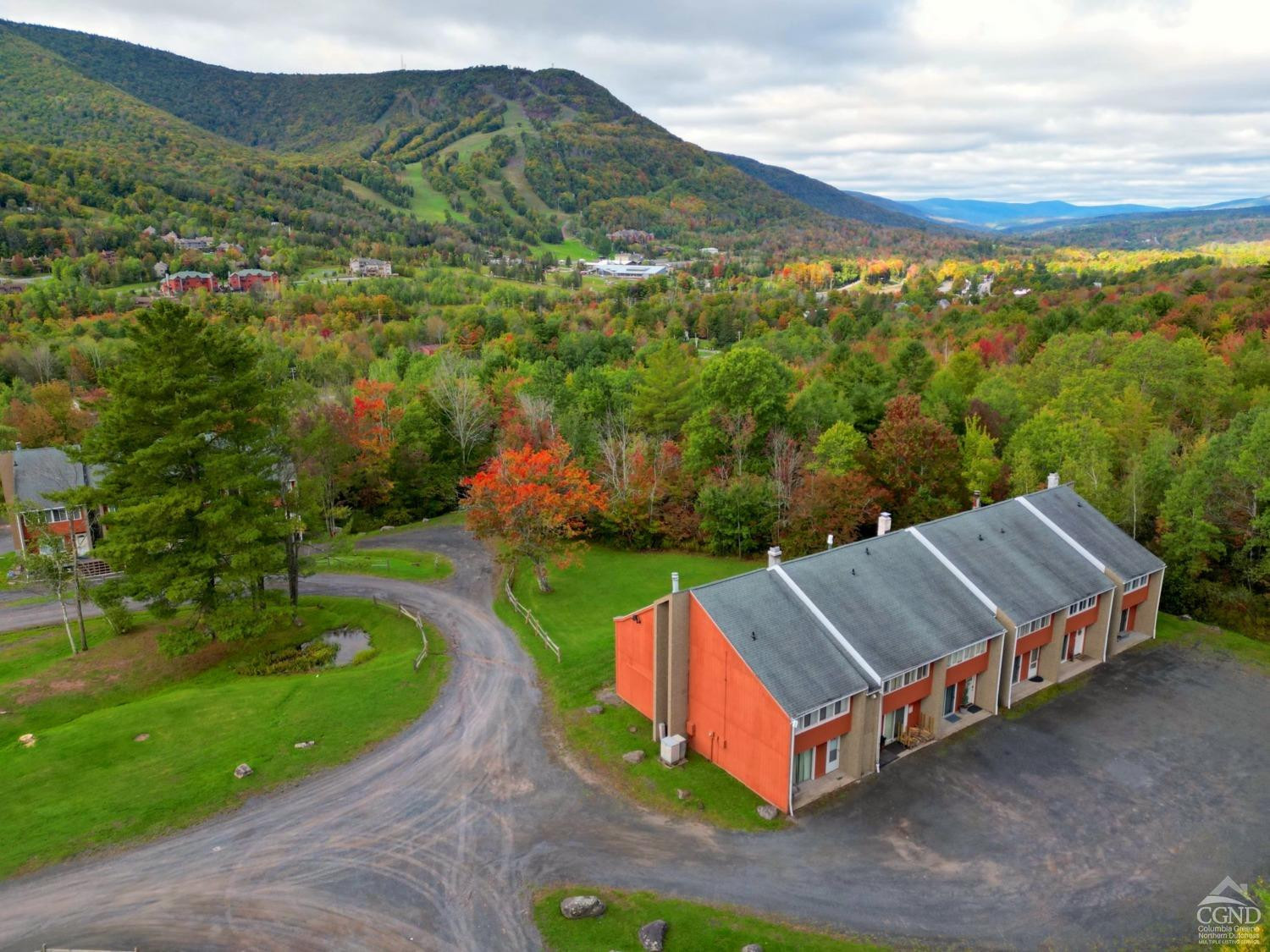 81 Scribner Hollow Road, Unit D 2 Hunter, NY 12442 - Photo 4 of 36 an aerial view of a house with a yard