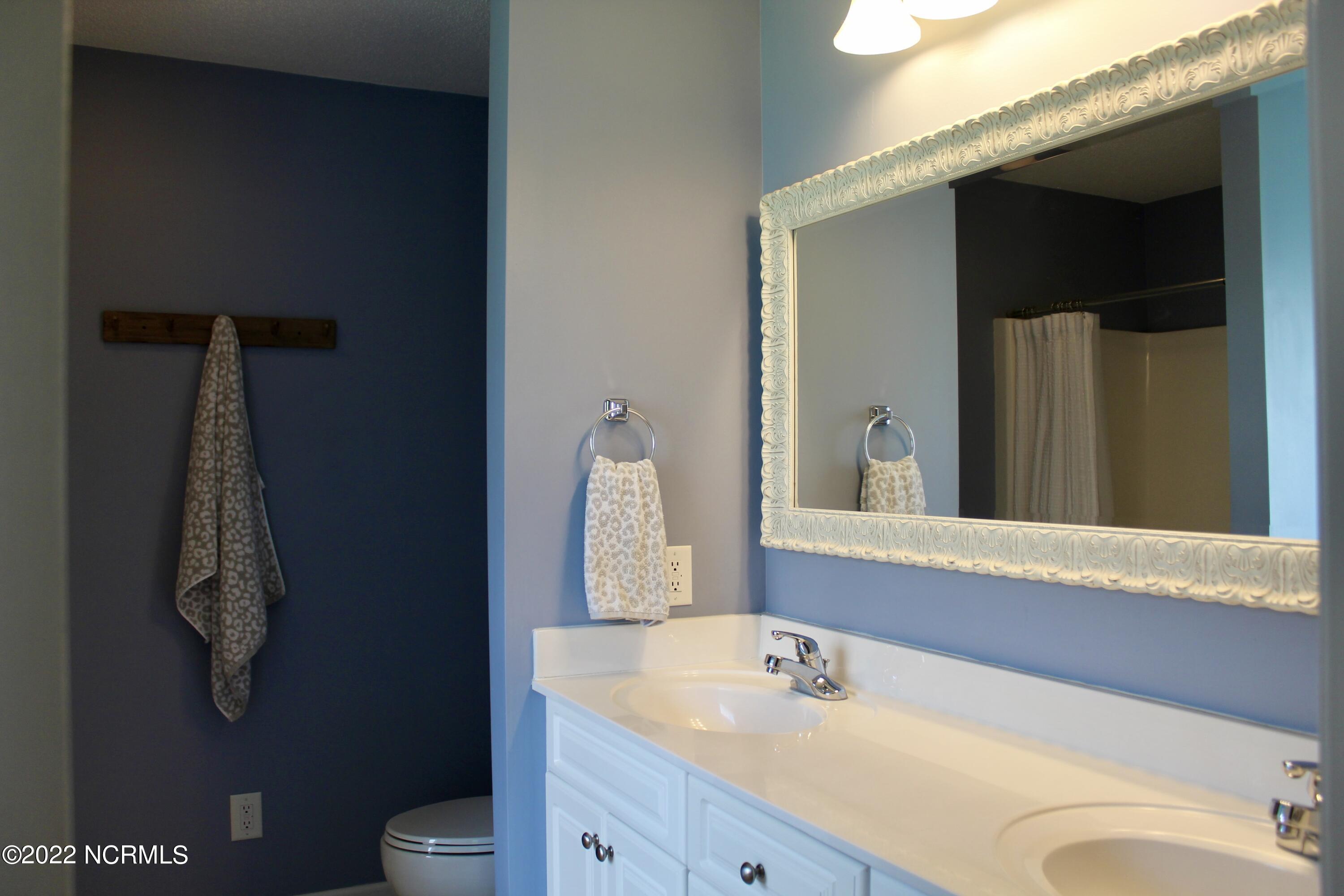 248 Roberts Place Carthage, NC 28327 - Photo 18 of 25 master bath