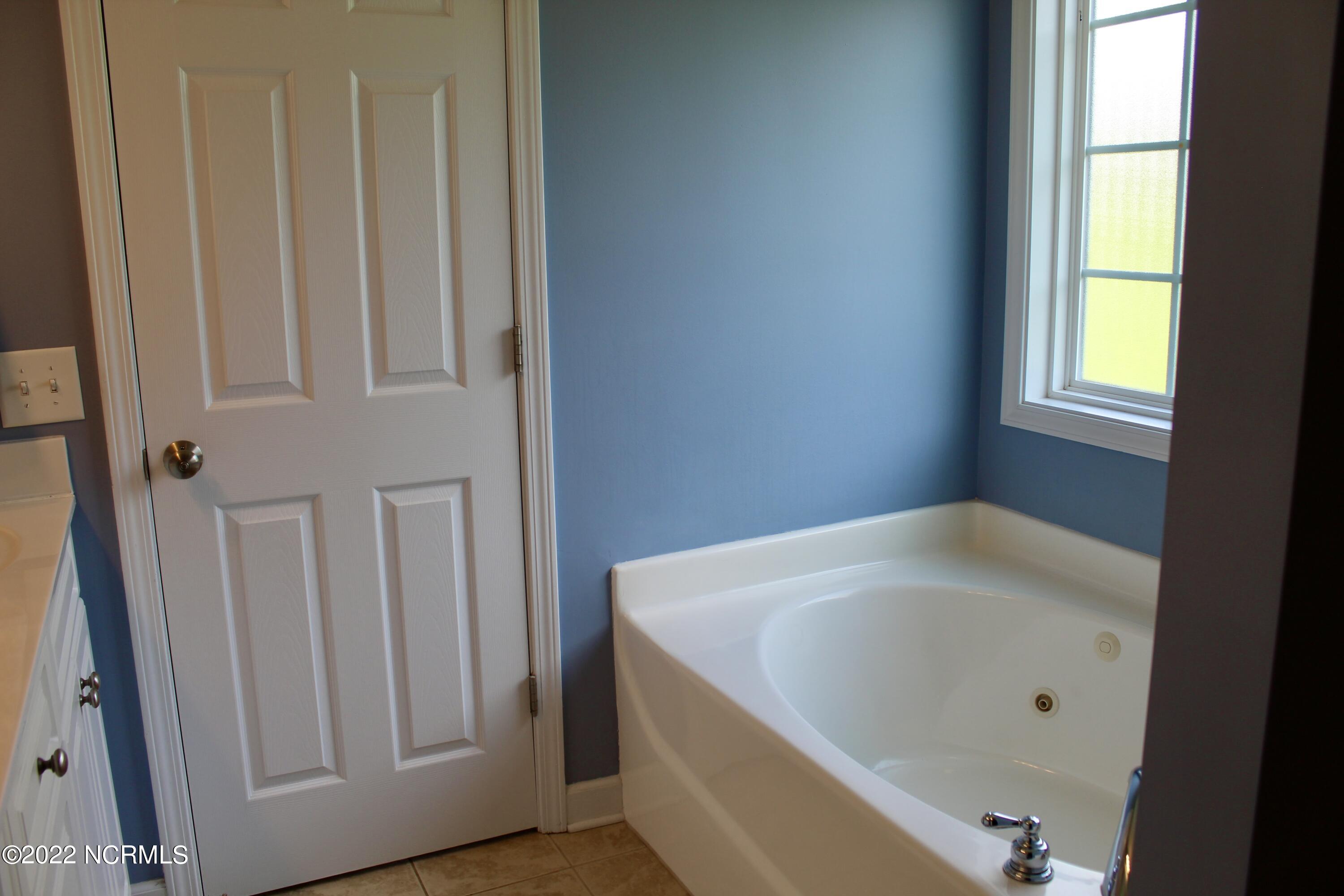 248 Roberts Place Carthage, NC 28327 - Photo 19 of 25 master bath