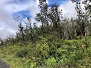 75 Kaleponi Road Mountain View, HI 96771 - Photo 5 of 5 a view of a forest with a tree in the background