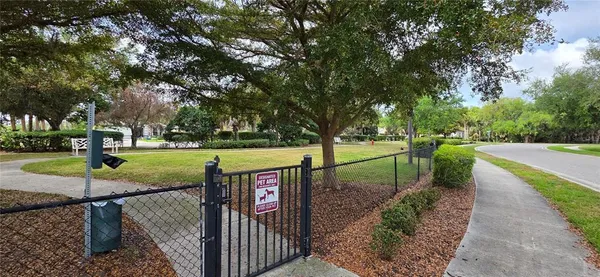 a view of a garden with trees
