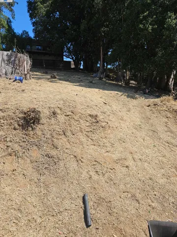 a view of outdoor space yard and trees