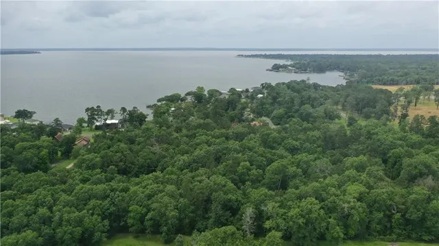 a view of a lake and trees in the background