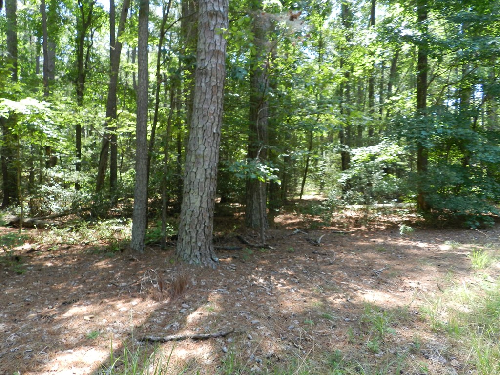 Lot B6 Saltworks Road, Unit B6 Exmore, VA 23350 - Photo 3 of 28