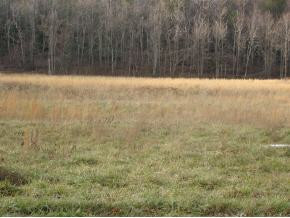 Tbd Cassi Road, Unit 10 Chuckey, TN 37641 - Photo 3 of 4 Photo 3