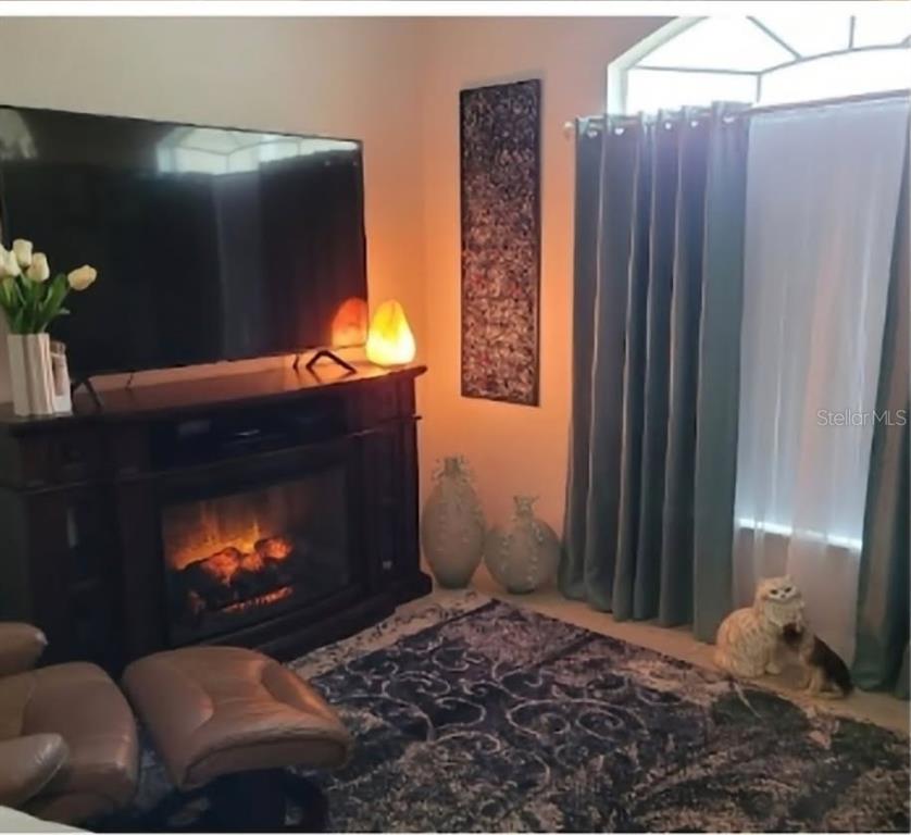 11019 South East 170TH Lane Road Summerfield, FL 34491 - Photo 6 of 45