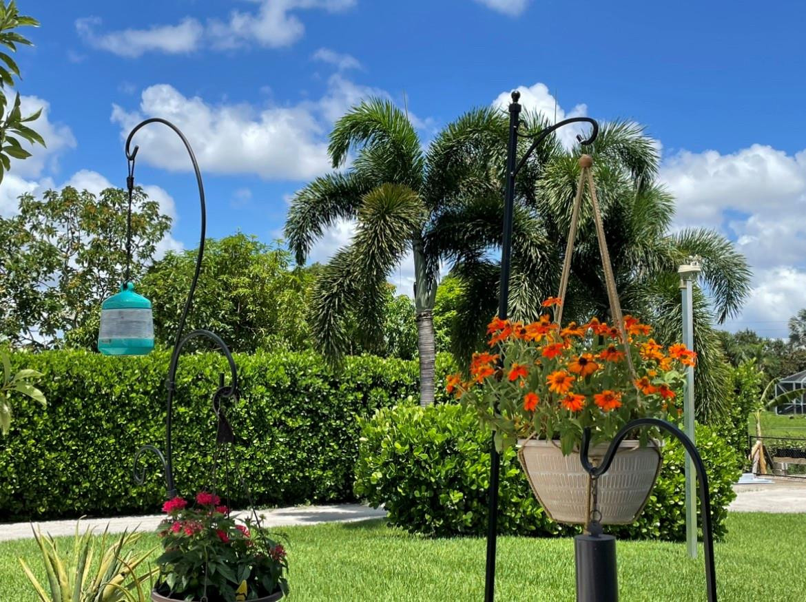 17001 Southwest 48th Street Southwest Ranches, FL 33331 - Photo 3 of 35 a view of a garden with a fountain