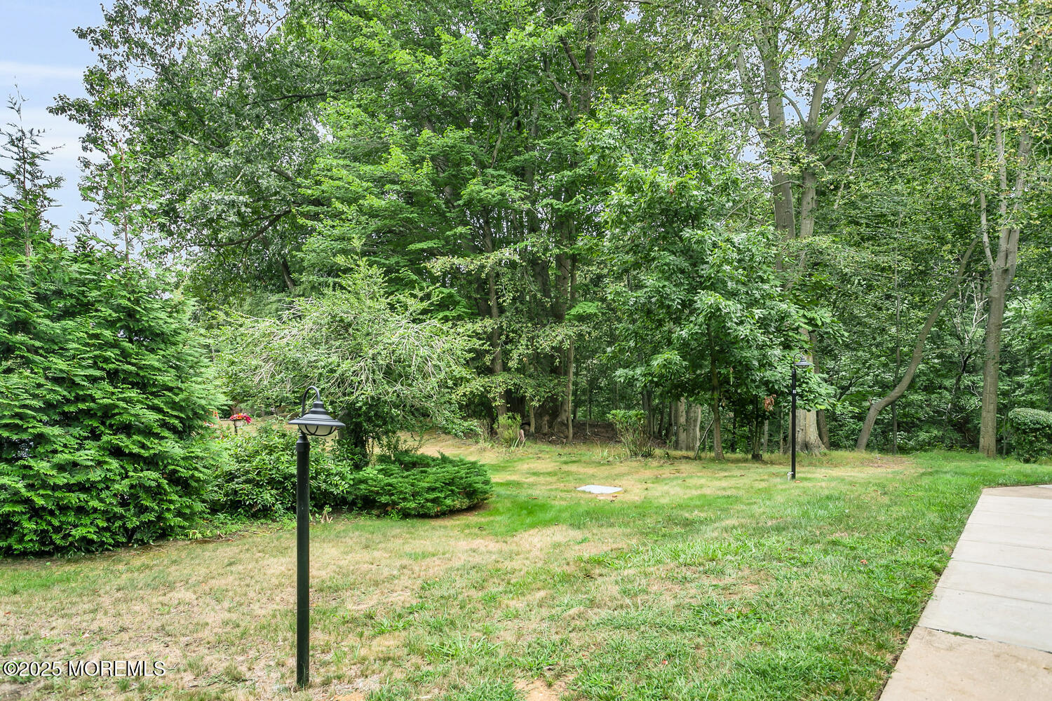 31 Hancock Court Red Bank, NJ 07701 - Photo 20 of 32 a view of a park with large trees