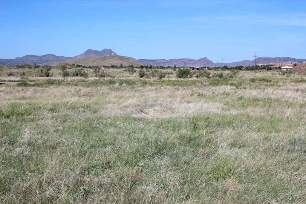 85 Sierra La Rana Alpine, TX 79830 - Photo 6 of 8 Photo 6