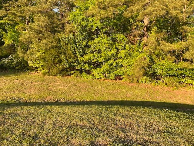 394 Foster Road Florence, MS 39073 - Photo 1 of 1 Photo 1
