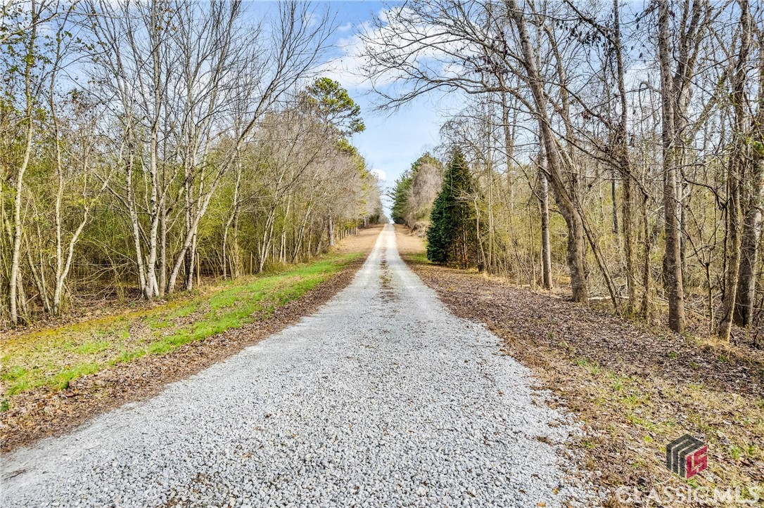 0 Paynes Creek Road, Unit LOT 7 Hartwell, GA 30643 - Photo 2 of 17