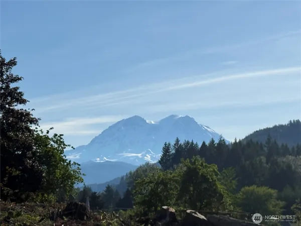 $369,000 | 215 Mineral Road North, Mineral, WA 98355