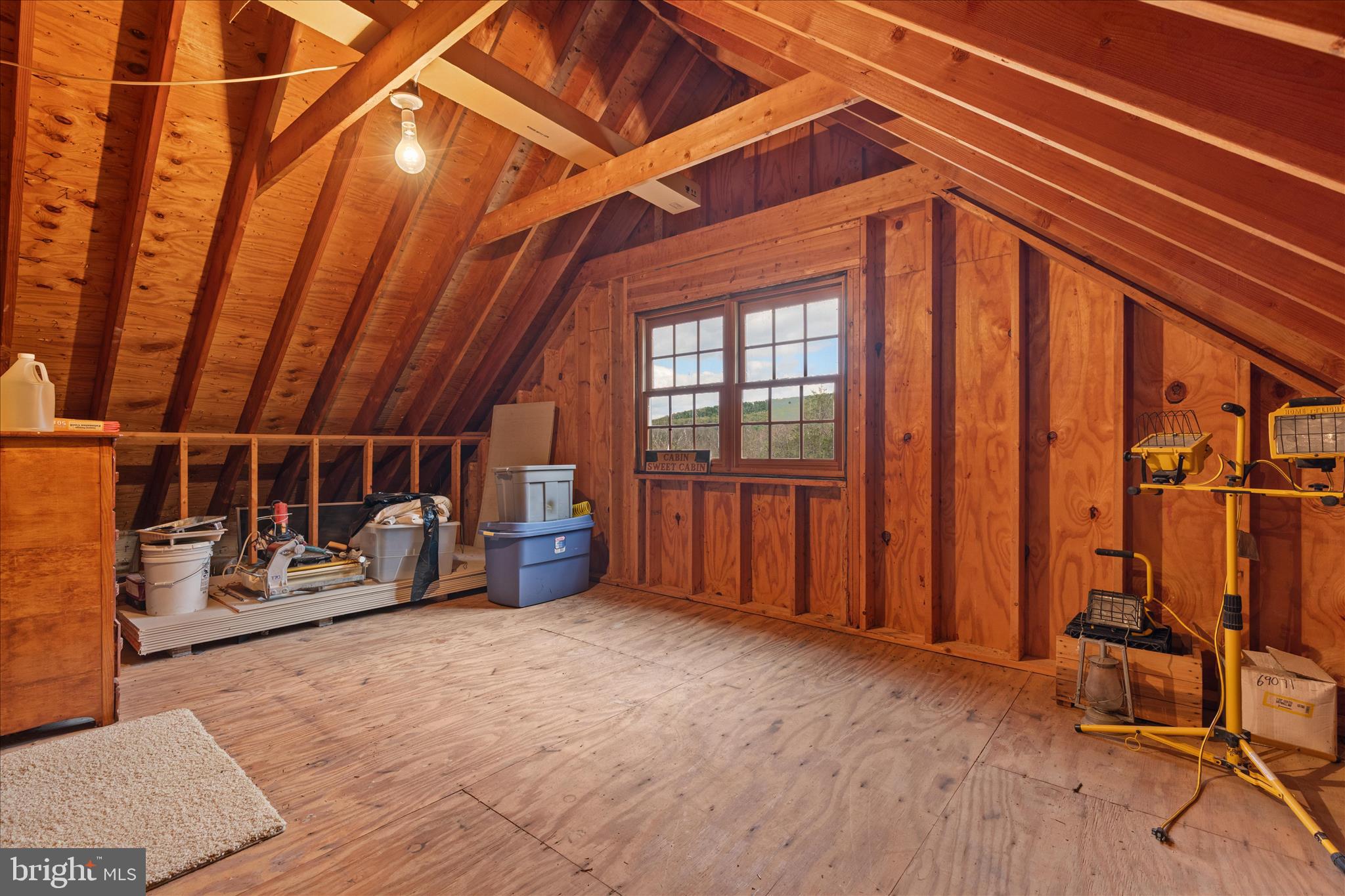 272 Buster Brown Drive Rio, WV 26755 - Photo 70 of 113 Storage above the garage