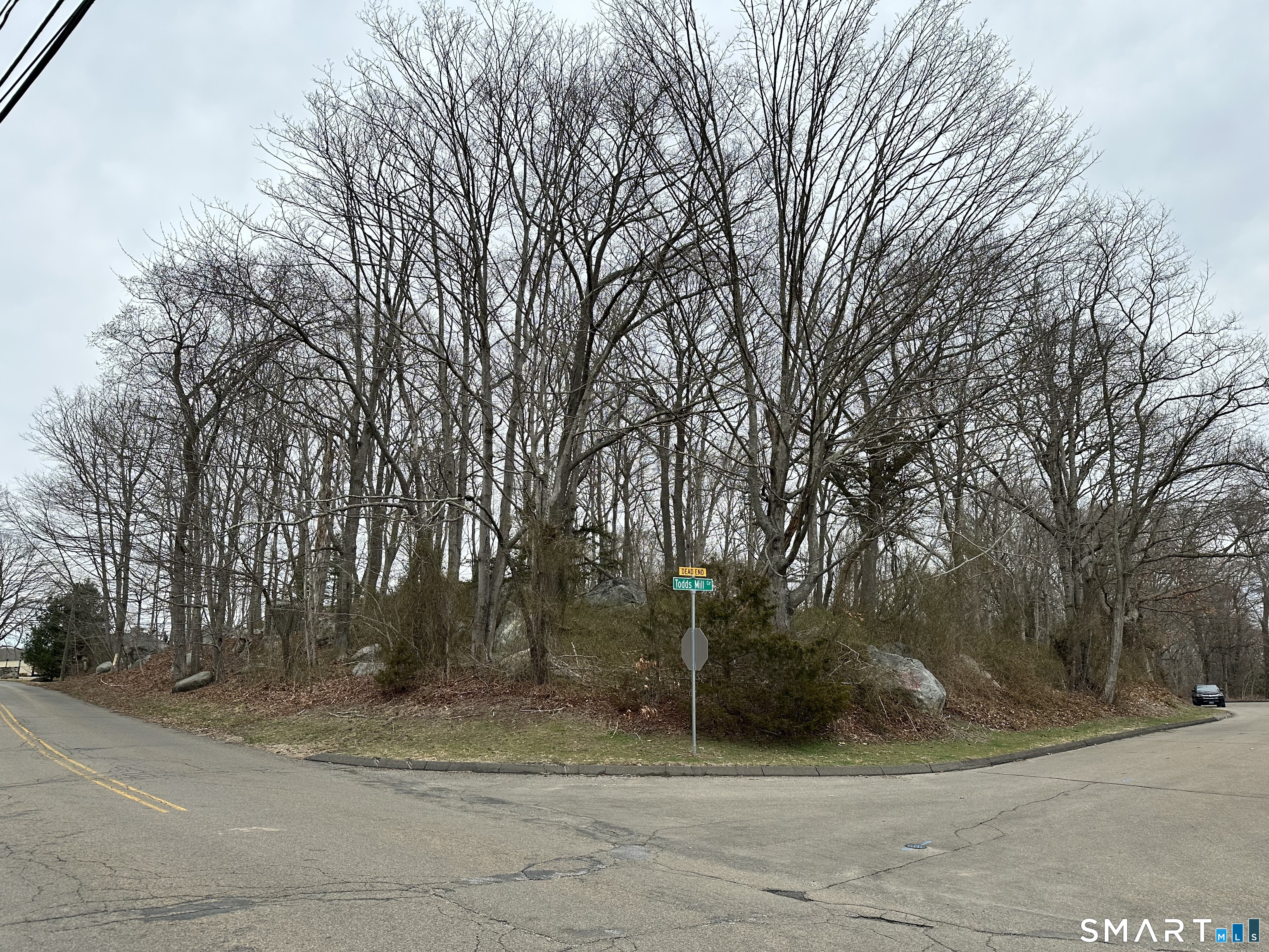 2+ acres on the corner of Mill Rd & Todds Mill Circle with over 500 total feet of road frontage.