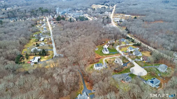 a close up of a tree in a backyard