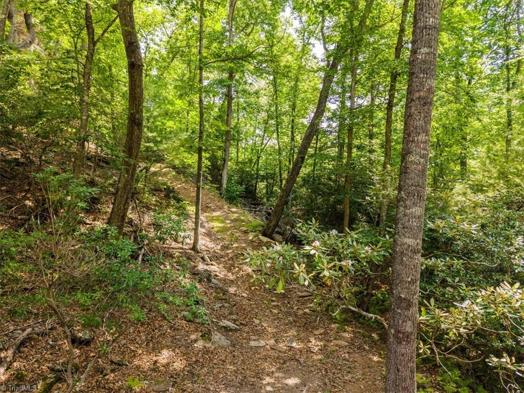 132 Sparks Ridge Lane Sparta, NC 28675 - Photo 27 of 30