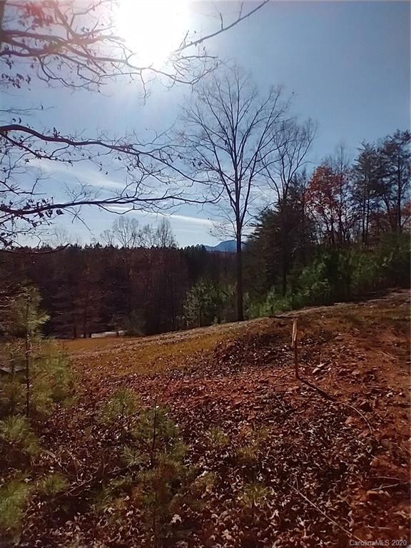1973 Edgerton Road Mill Spring, NC 28756 - Photo 14 of 32