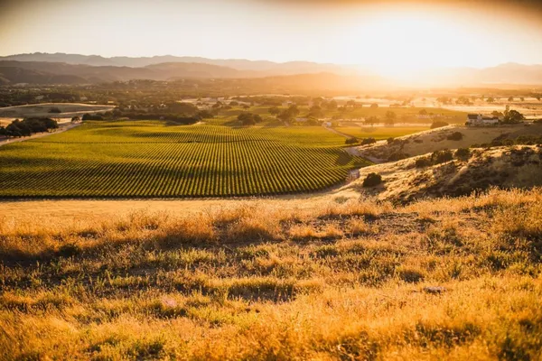 $2,900,000 | 70180 Jolon Road, Bradley, CA 93426
